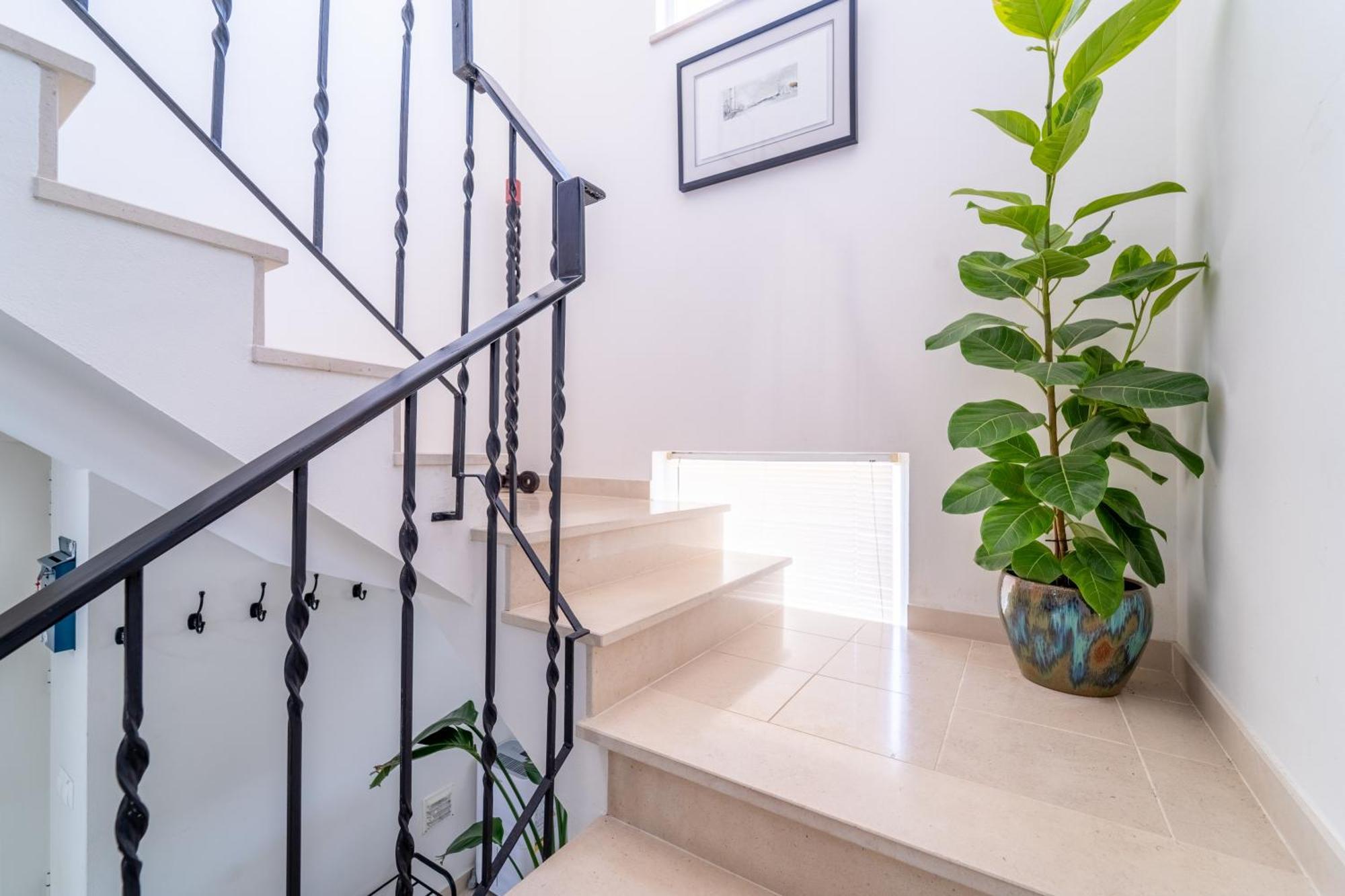 הוילה אלג'זור Casa Da Bauhinia מראה חיצוני תמונה